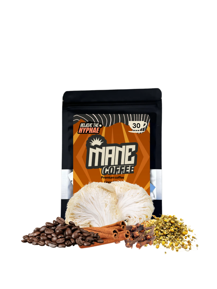 A stand-up pouch of Believe The Hyphae The Mane coffee pouch, with fresh Lions mane mushrooms, loose coffee beans, cinnamon sticks, and chamomile and clove surrounding the packet