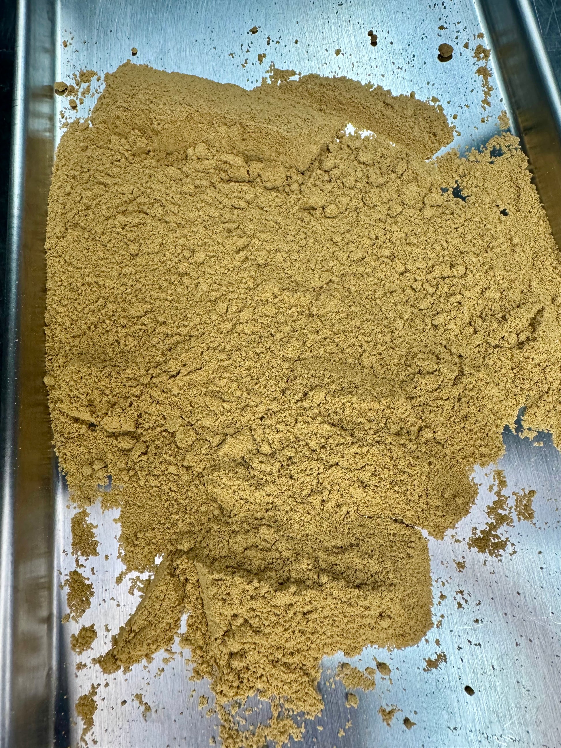 Lions Mane Dual Extract powder on a freeze-dry tray